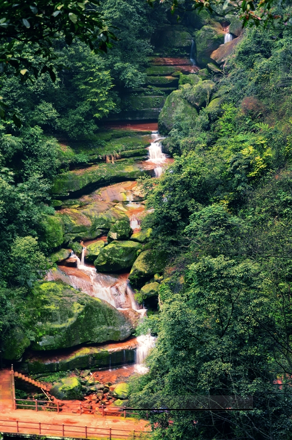 _DSC7549 ��������.jpg