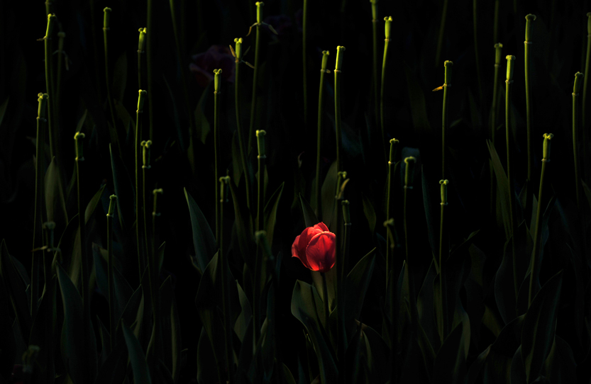 02_LFA4781 ����.jpg