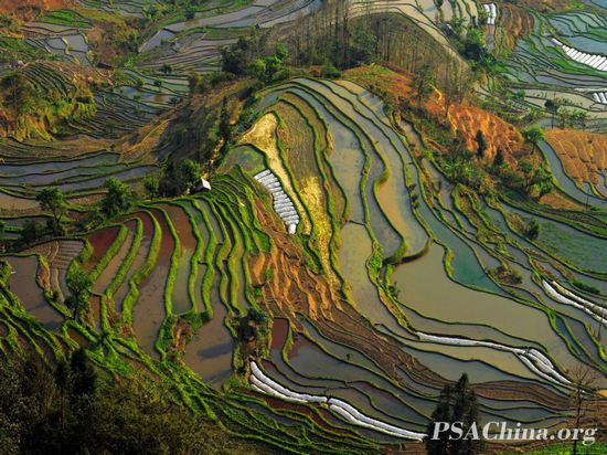 10.��Ծ��Ʒ����������ɡ� Rhythm of the earth.jpg