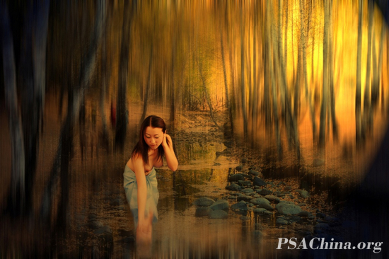 12.��־����Ʒ���������С� In the woods.jpg