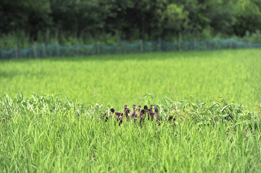 _LFC9487 ����.jpg