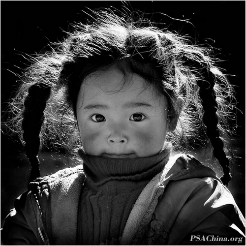 �ڶ���PSAChina������Ӱ����������(EID)(�ڰ�)PSA����Ʒ��