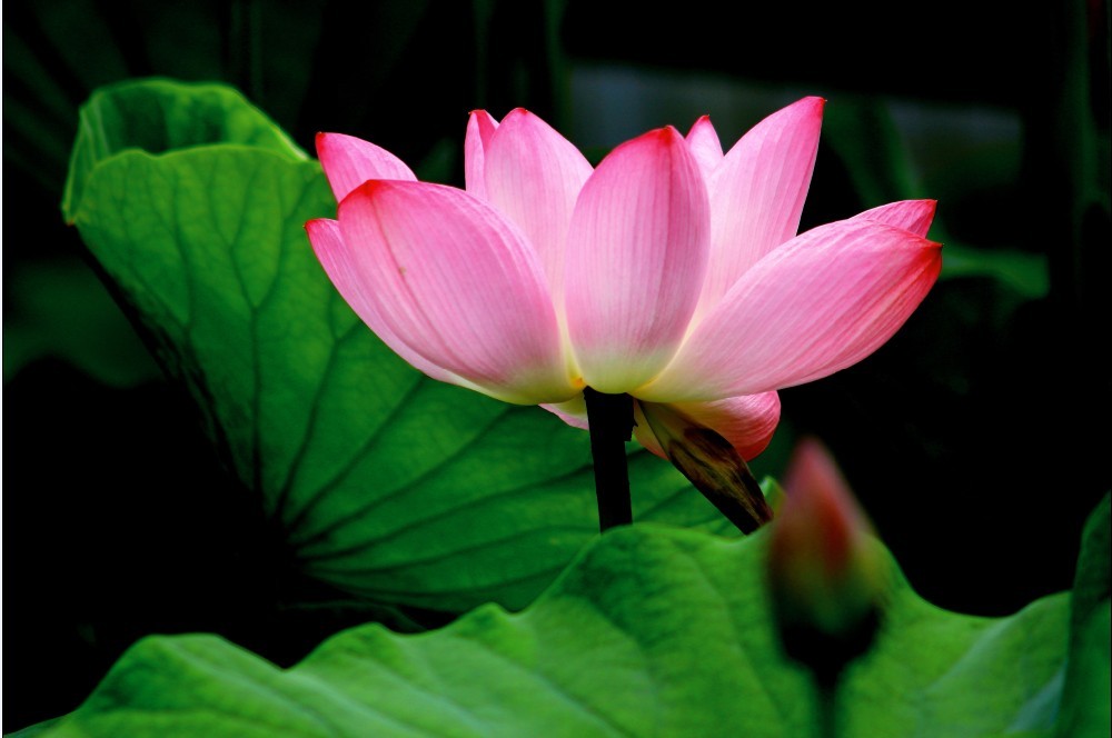 ���� 1��ͤͤ����