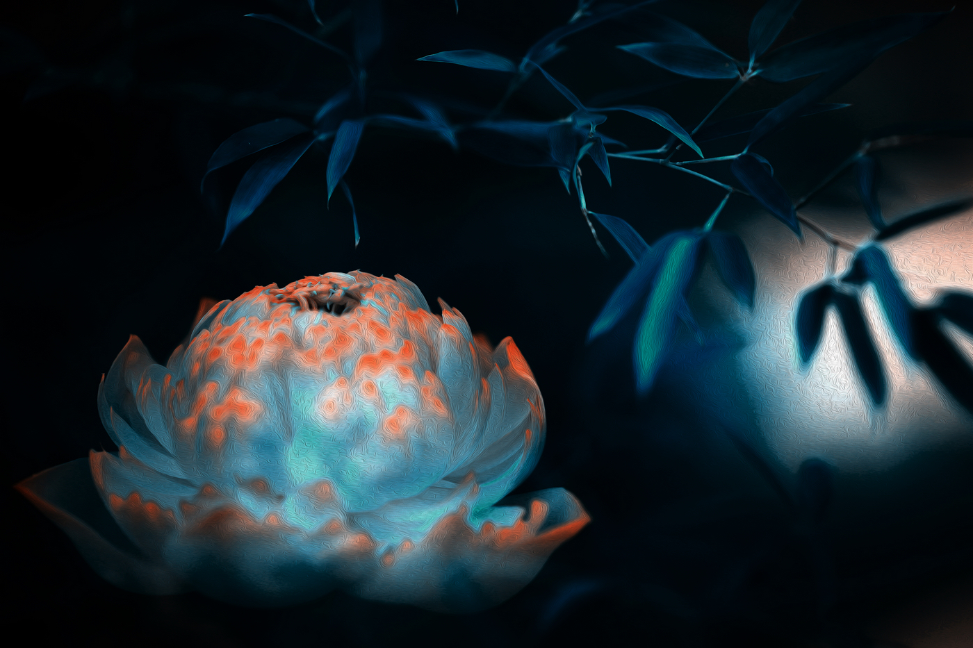 �й���� (4).jpg