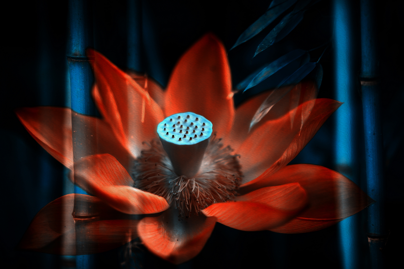 �й���� (7).jpg