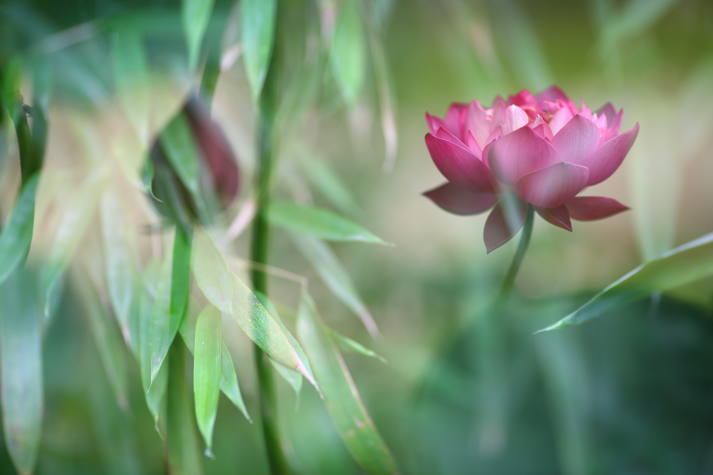 �й����ԭƬ (4).jpg