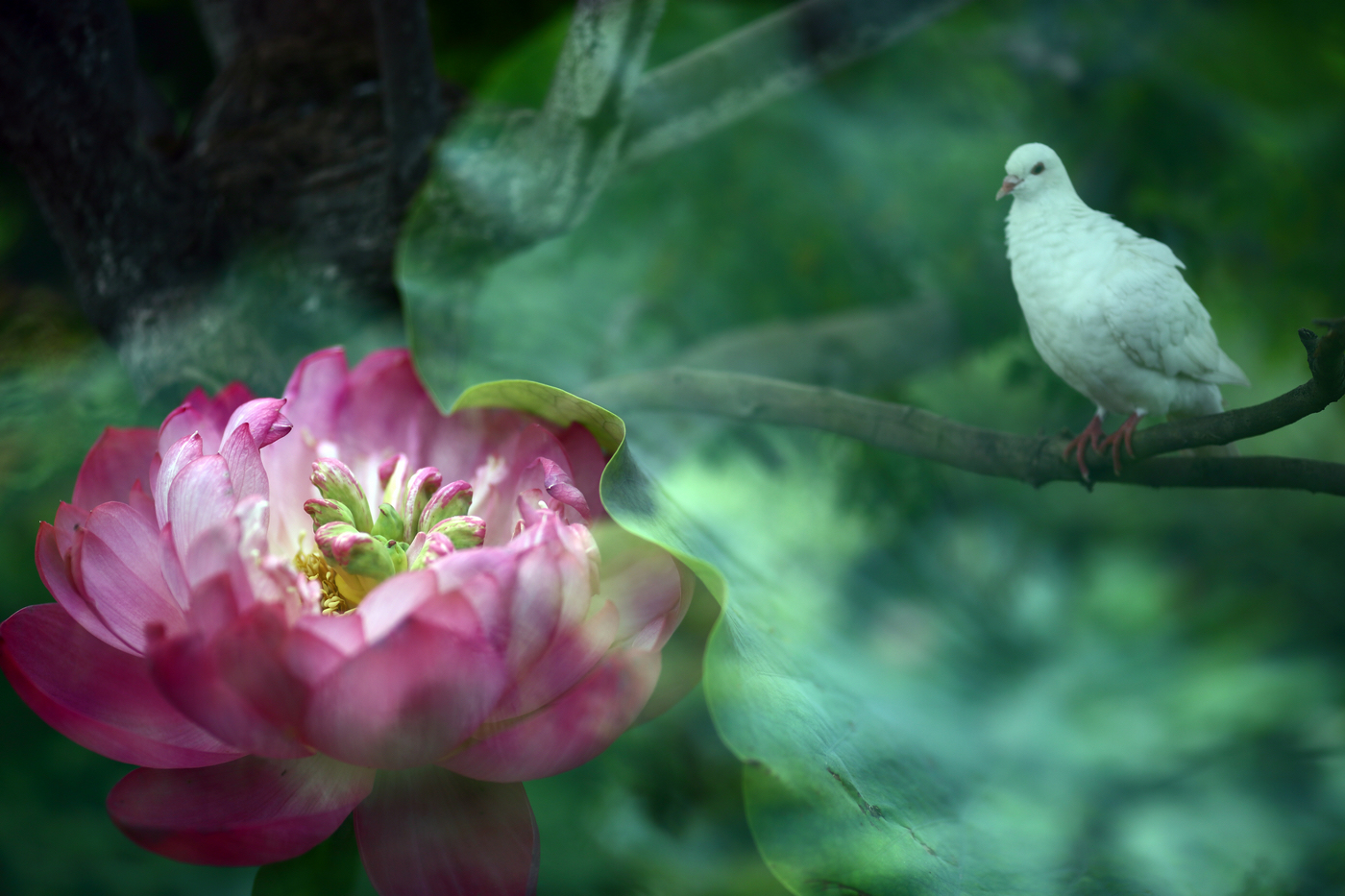 �й����ԭƬ (5).jpg