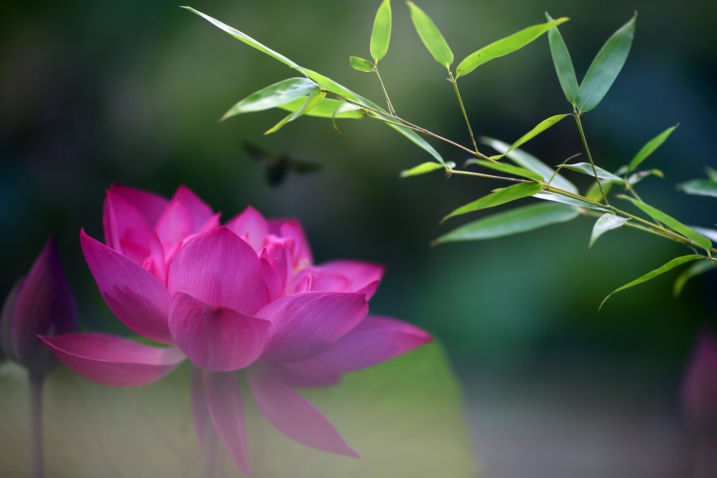 �й����ԭƬ (6).jpg