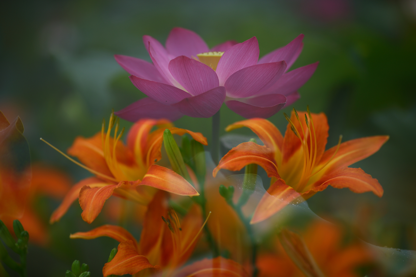 �й����ԭƬ (8).jpg