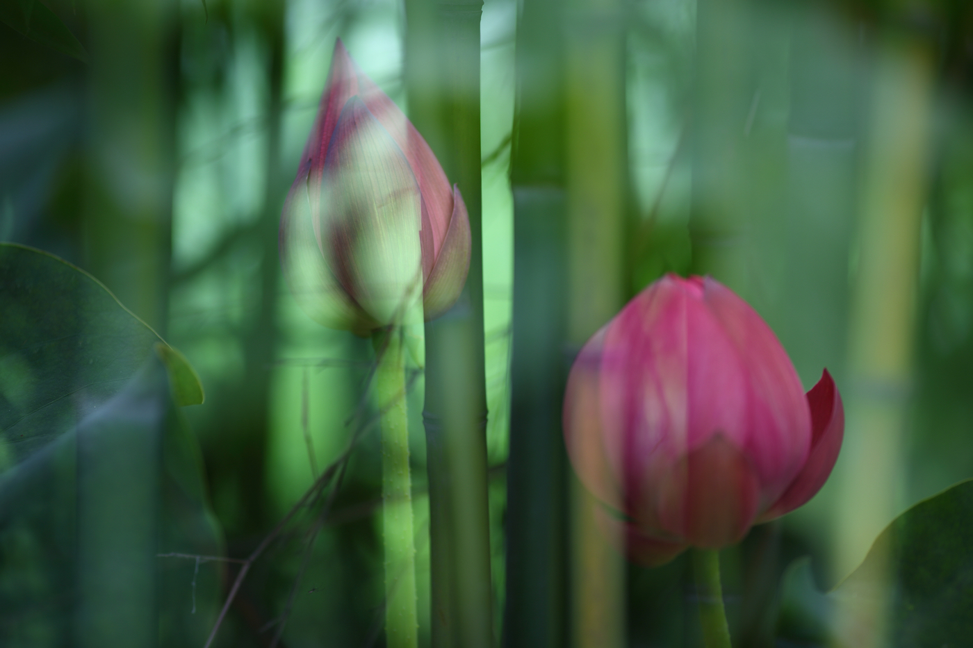 �й����ԭƬ (9).jpg