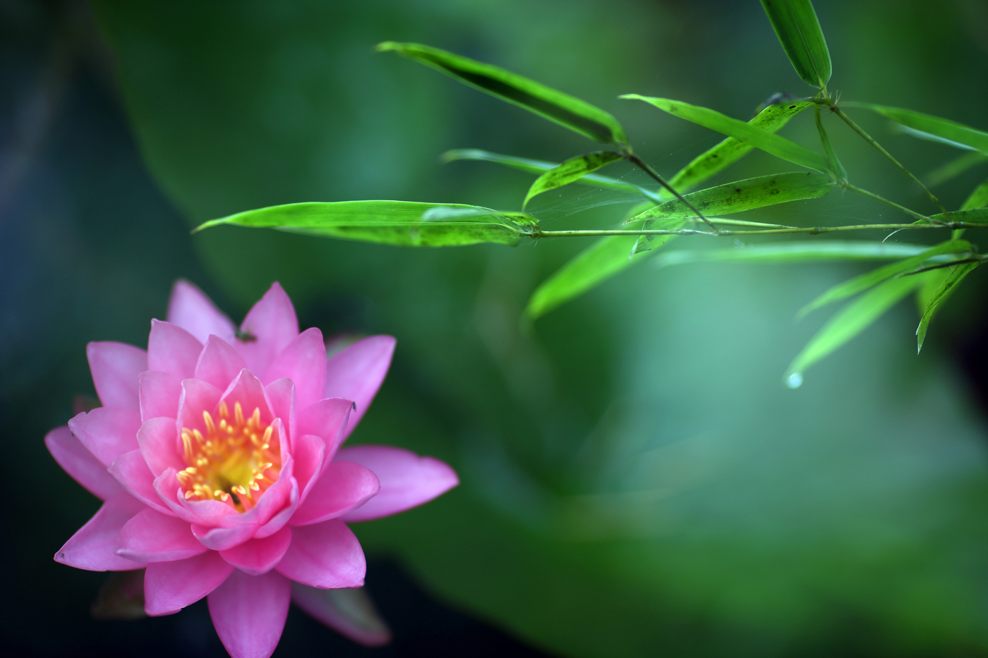 �й����ԭƬ (10).jpg