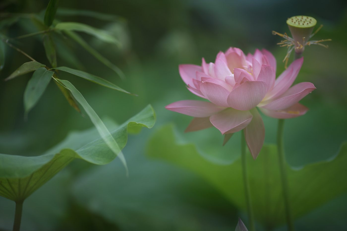 �й����ԭƬ (11).jpg