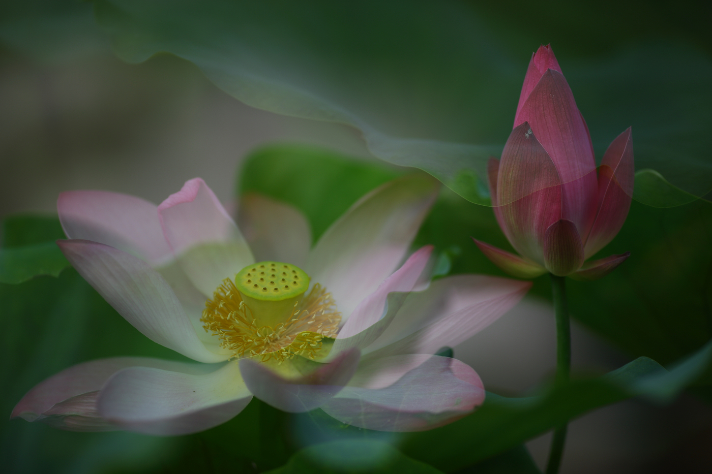 �й����ԭƬ (17).jpg