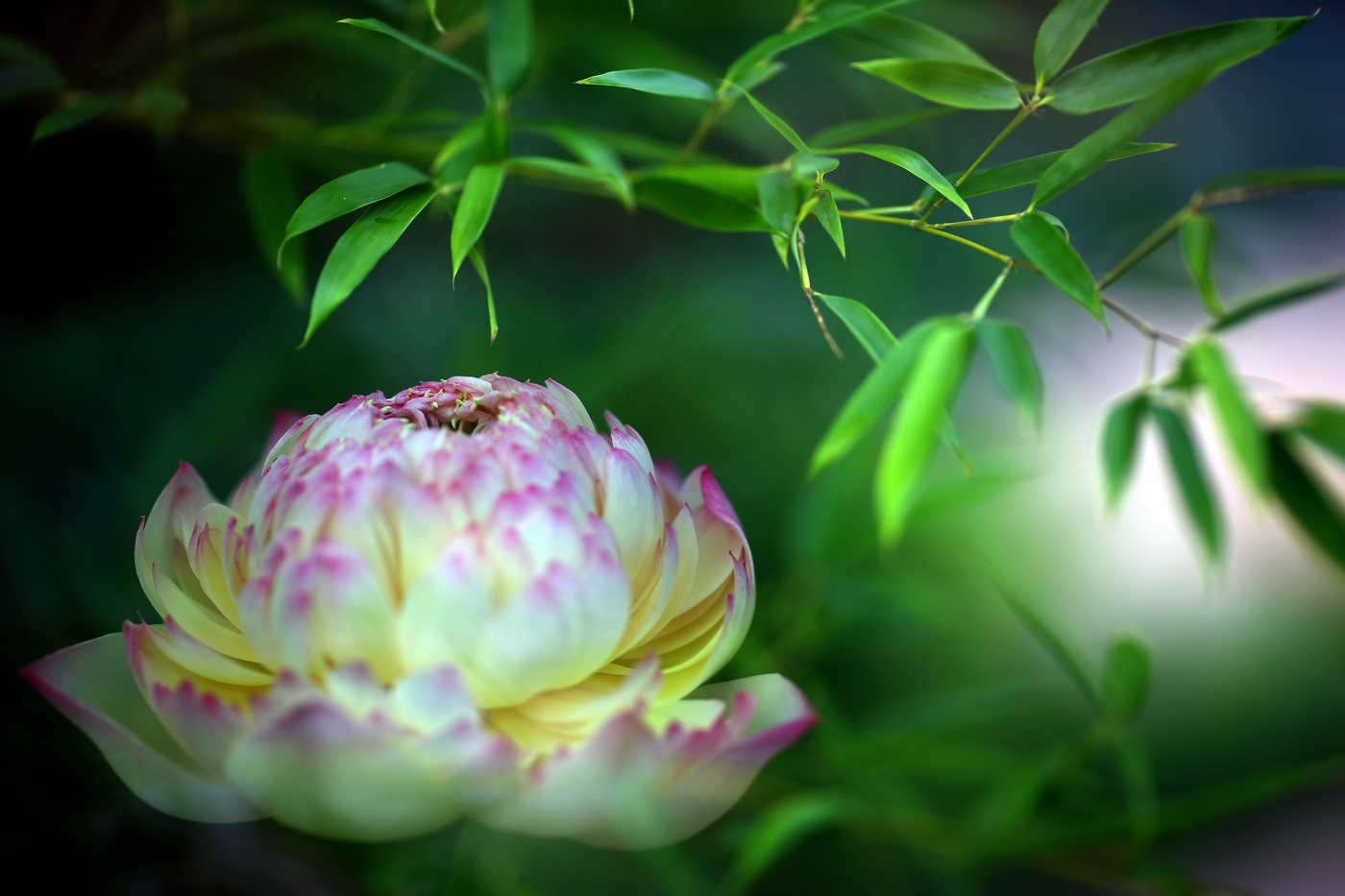 �й����ԭƬ (23).jpg