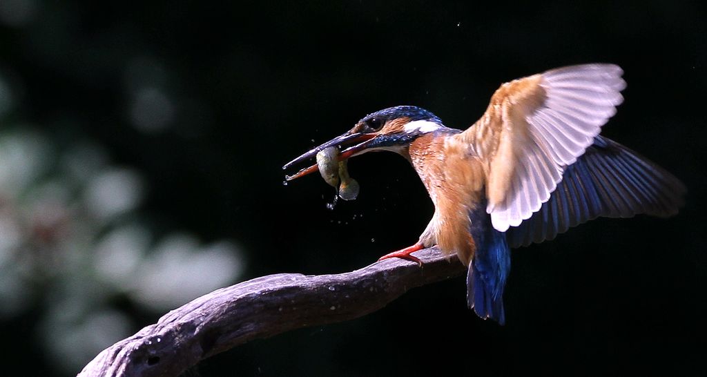 2013.7.8��Ĵ��� 042.jpg