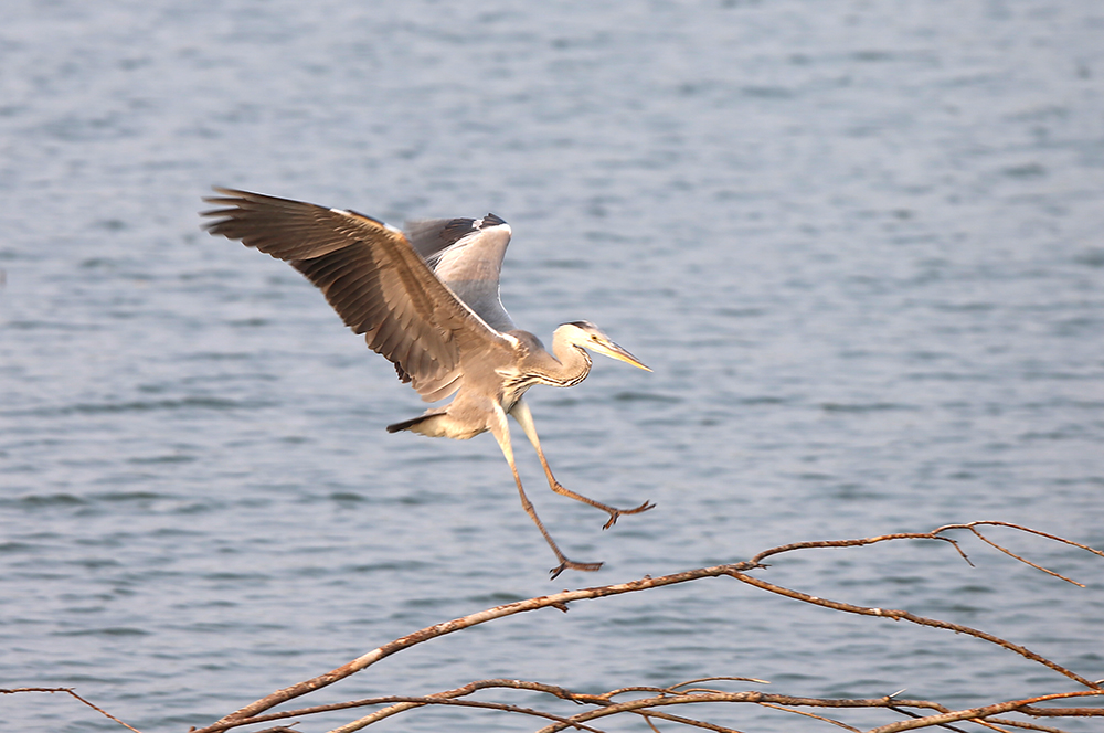 H46R3928 - ����.jpg