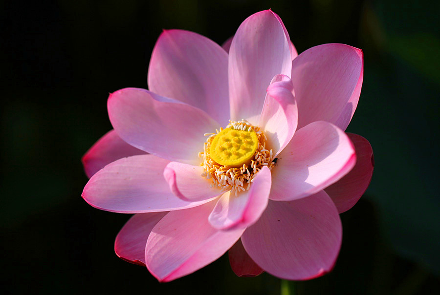 IMG_2013 (126)_����.jpg