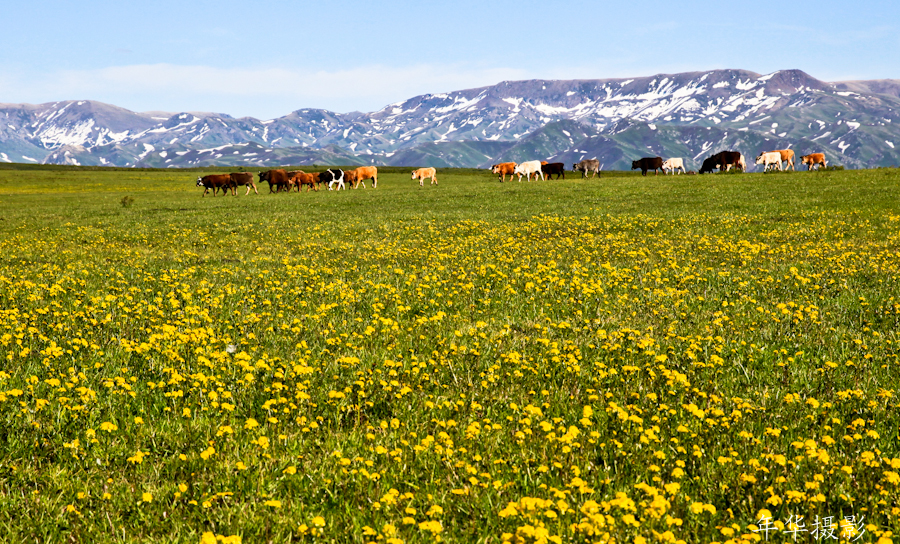 ��������4