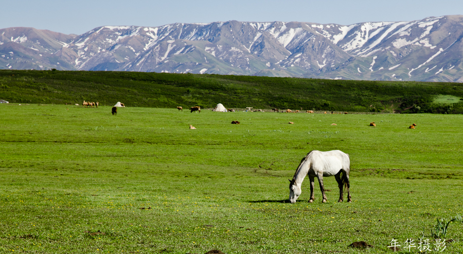 ��������5