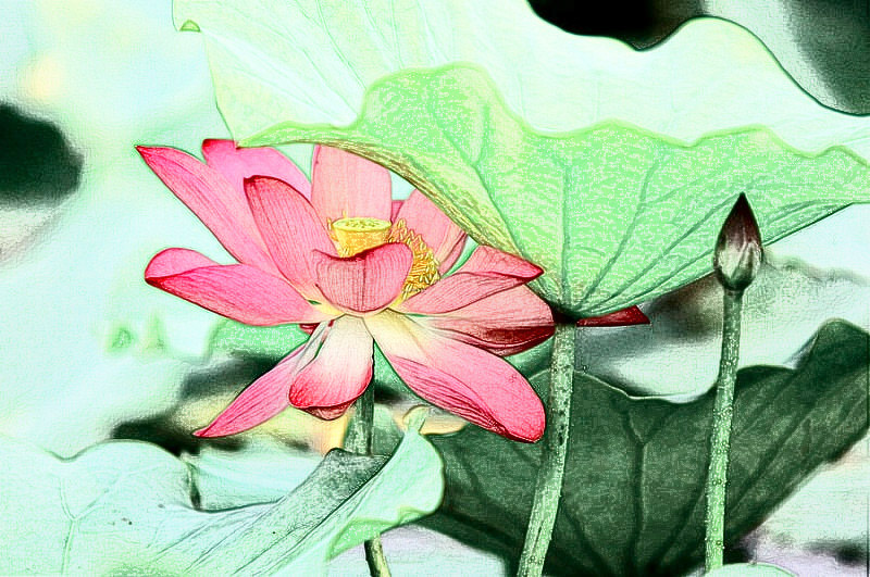 �����ɻ���Ƭ (7).jpg