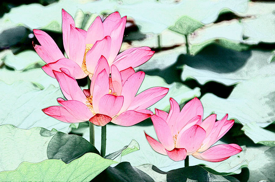 �����ɻ���Ƭ (9).jpg