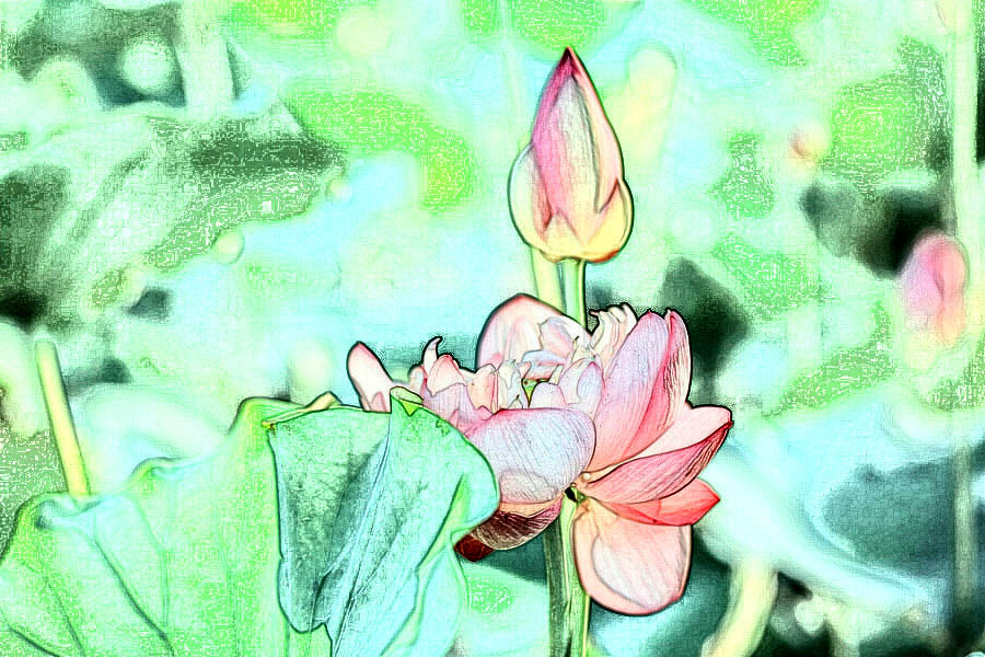 IMG_2013 (89)_����.jpg