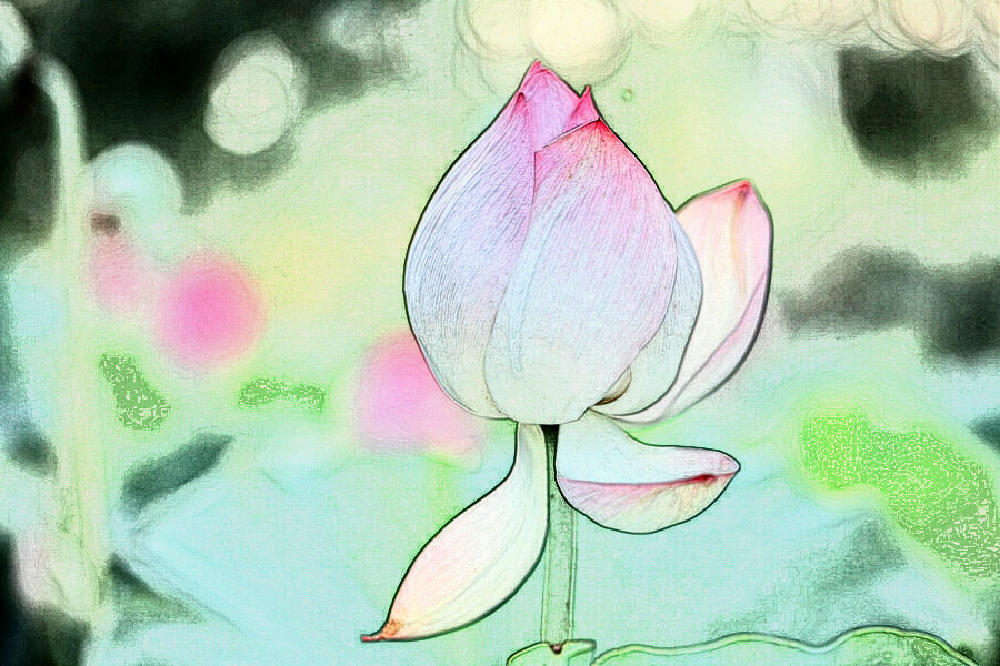 IMG_2013 (113)_����.jpg