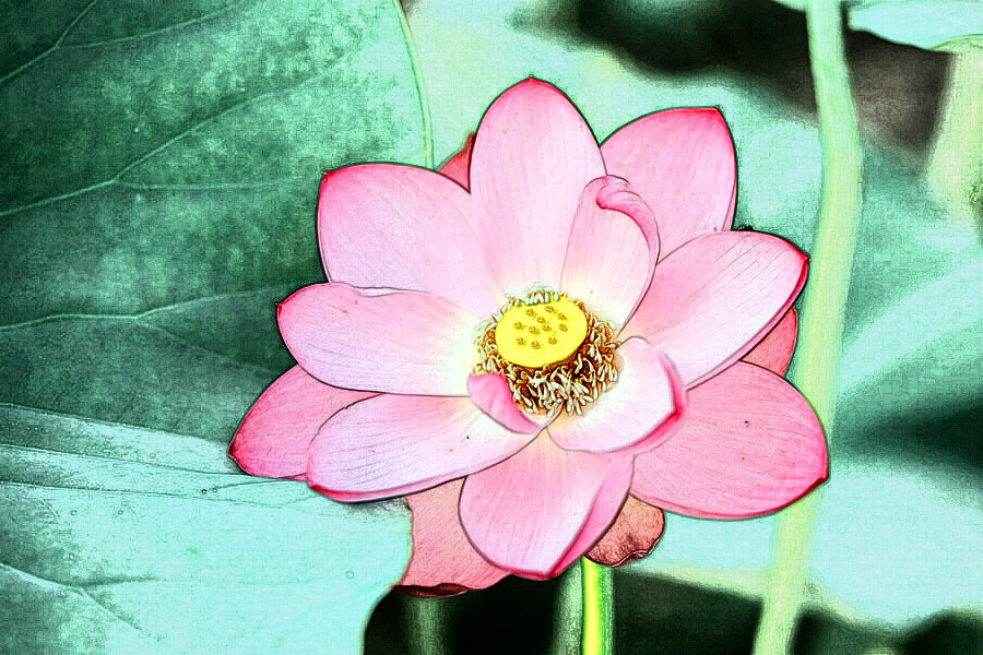 IMG_2013 (121)_����.jpg