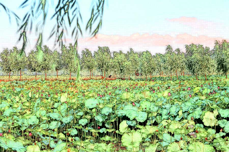 IMG_2013 (169)_����.jpg