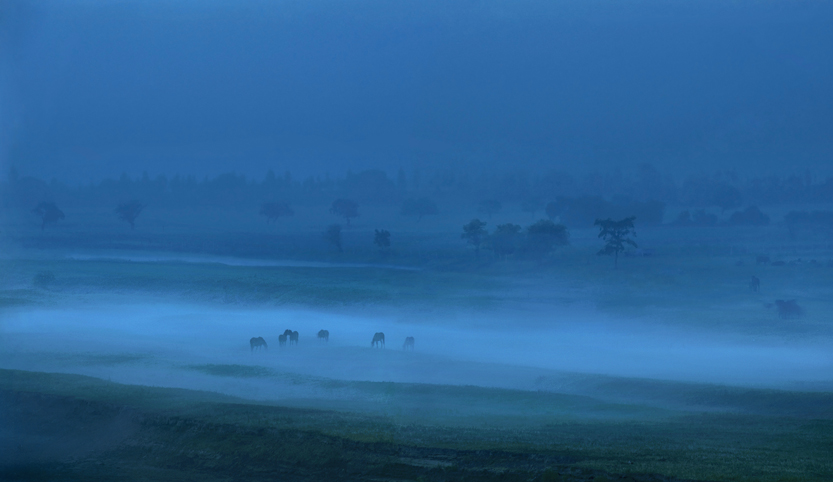 �������칬��������