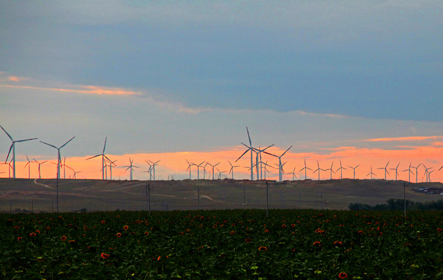 �������� (5).jpg