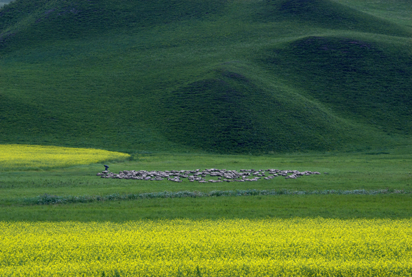 _LFB0408 ����.jpg