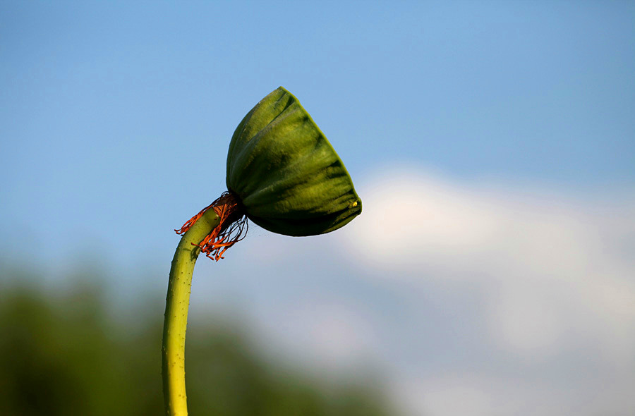 IMG_2013 (65)_����.jpg