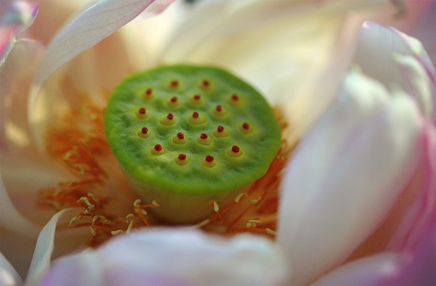 IMG_2013 (52)_����.jpg