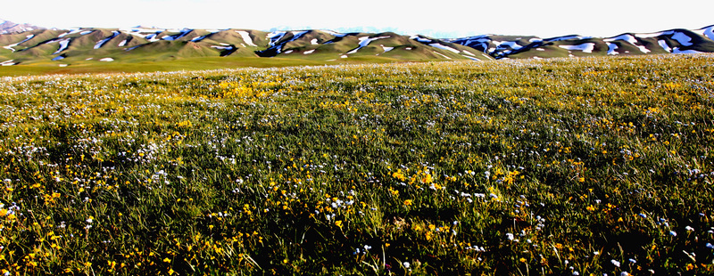 �����ǿ˲�ԭ1