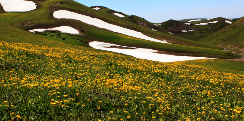 �����ǿ˲�ԭ2