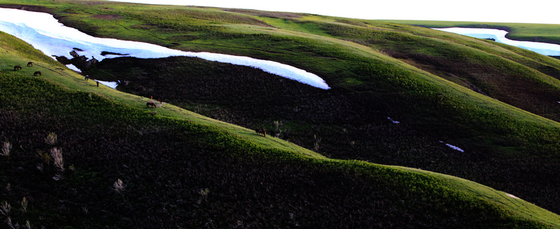 �����ǿ˲�ԭ5