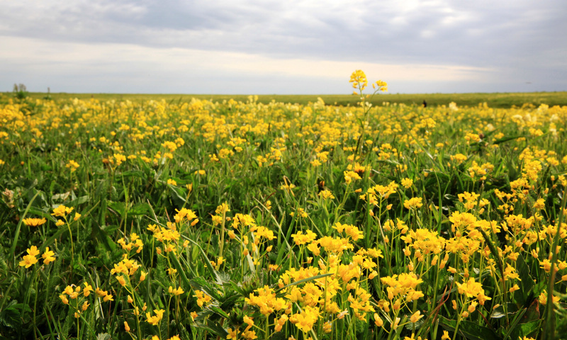 �����ǿ˲�ԭ8