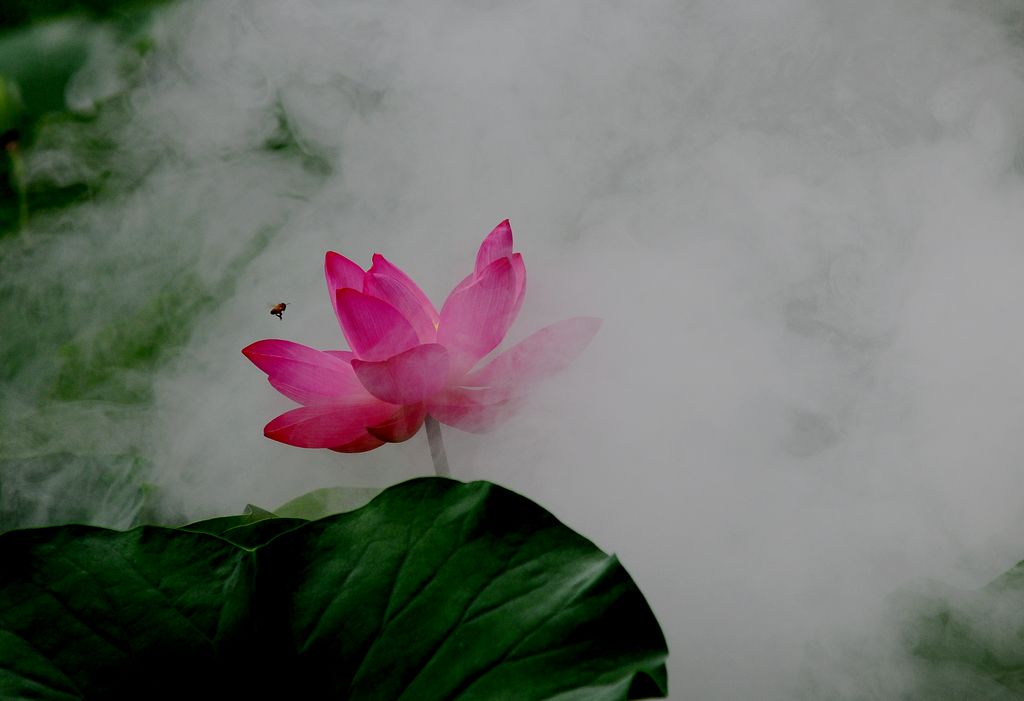 ����ӳ��