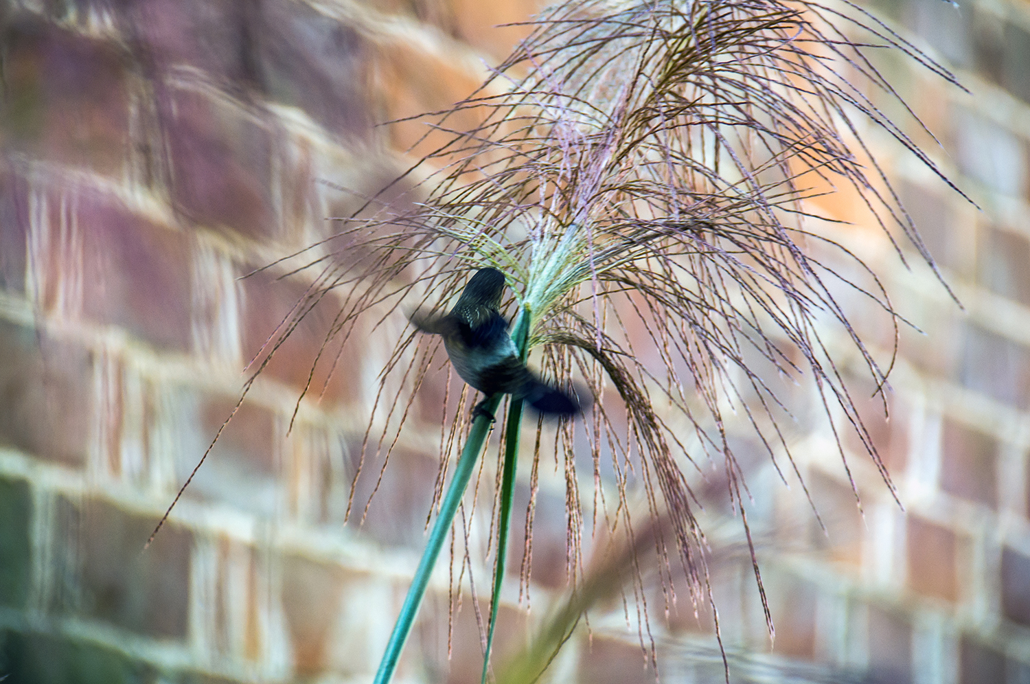 �������ұ� (24).jpg