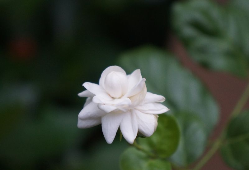 ��֮��������