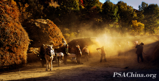 014.������Ʒ��������ʱ�ڡ�Harvest season.jpg