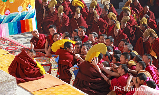 016.�ܽ�����Ʒ����СС��� A Little Lama.jpg