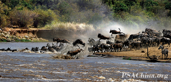 01.������GoldFIAP����Ʒ�������ڡ�to gallop.jpg