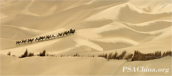 05.����H.M.SPA����Ʒ����ɳ��֮����desert territory no.2.jpg