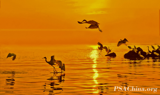 010�˴����Ʒ����������(��)��In the Sunlight.jpg