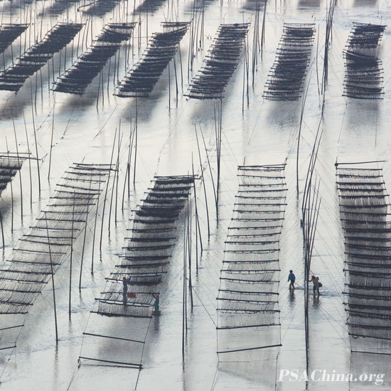 20.��������Ʒ�����ﺣī�ϡ�The autumn sea Ink rhyme.jpg