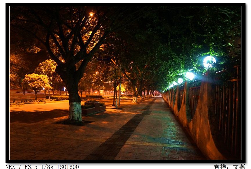 ����ҹ��