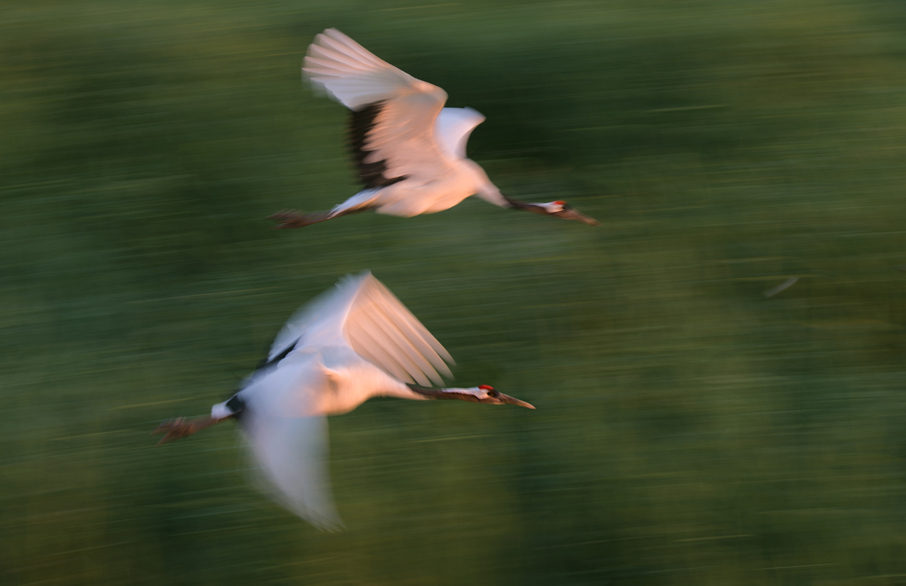 _LFD0524 ����.jpg