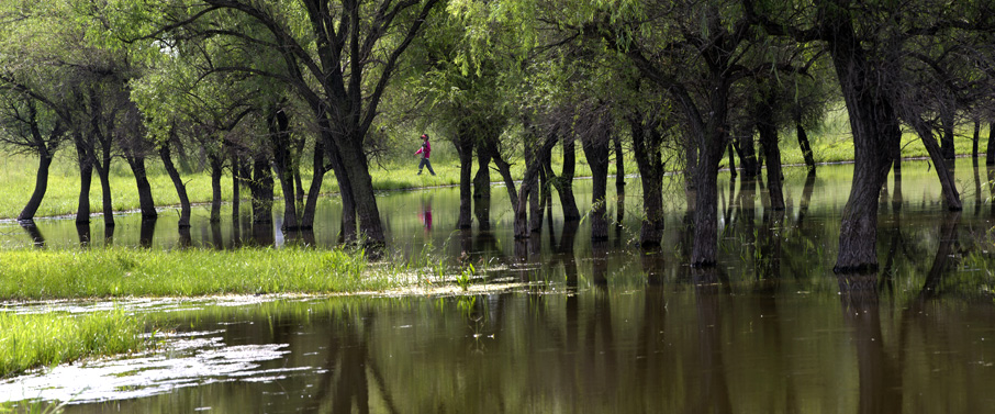 _LFD0667j ����.jpg